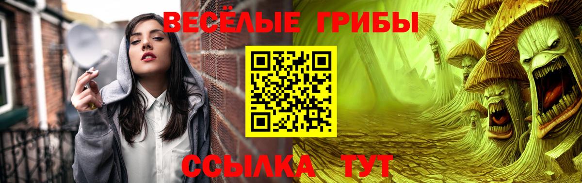 закладки  Псилоцибиновые грибы Psilocybe  Вход с VPN  Архангельск  Галлюциногенные грибы мицелий 